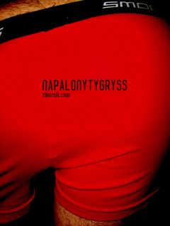 napalonyTygryss