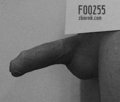 Foo255