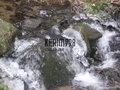 kerim998