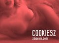 cookies2