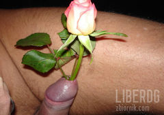 liberdg