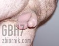 GBH7