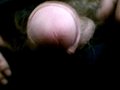 adammajchrzak62