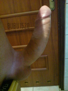 bubu1520