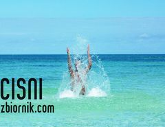 cisni