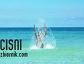 cisni