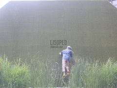 lisoped