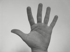 belgiabelgia