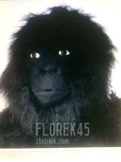 florek45