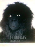 florek45