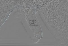 p29p