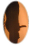 prcalik
