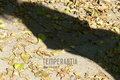 temperantia