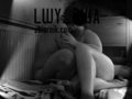 Lwy_dwa