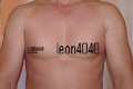 leon4040