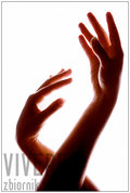 vivere