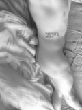 PanProfil