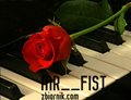 Mr__fist