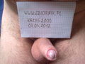 krzys2000