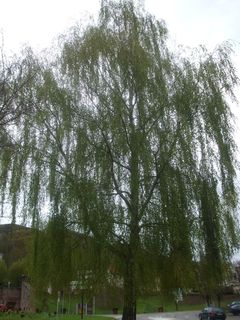 7273niezdecydowani