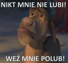 mike79_b