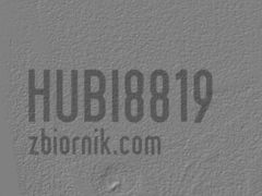 hubi8819