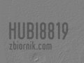 hubi8819