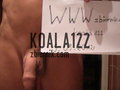 koala122
