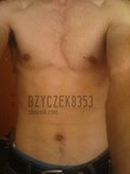 bzyczek8353