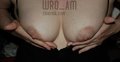 wro_am