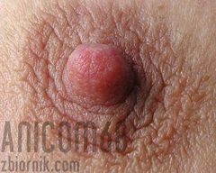 anicom68