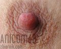 anicom68