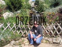drzewik