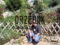 drzewik