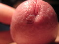 zczzx