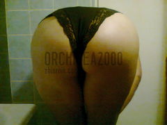 orchidea2000