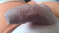 Jedyne16cm