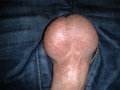 mat_pawel