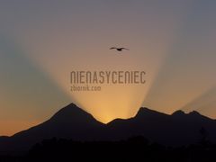 Nienasyceniec