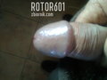 rotor601