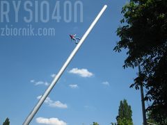 Rysio40n