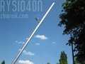 Rysio40n