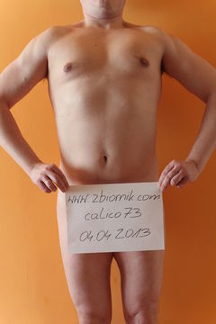 calico73