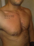 sebek1980