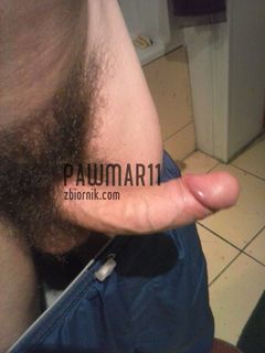 pawmar11