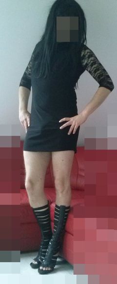 trans_suniajg