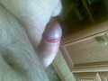 kristof400