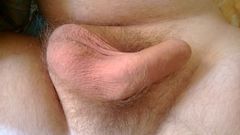 bonio