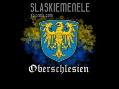 SlaskieMenele