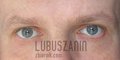 lubuszanin